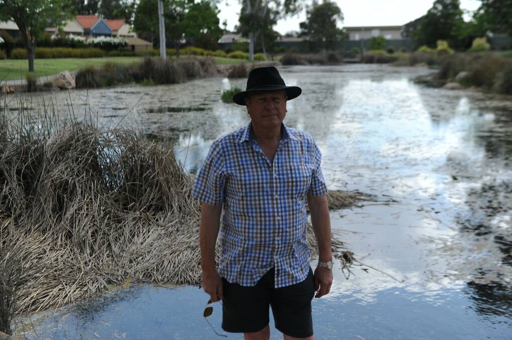 UNHAPPY: Horsham resident Brian Hedt says growing amount of dead plant matter on Horsham wetlands' pond is detracting from the amenity of the area. Picture: ALEXANDER DARLING