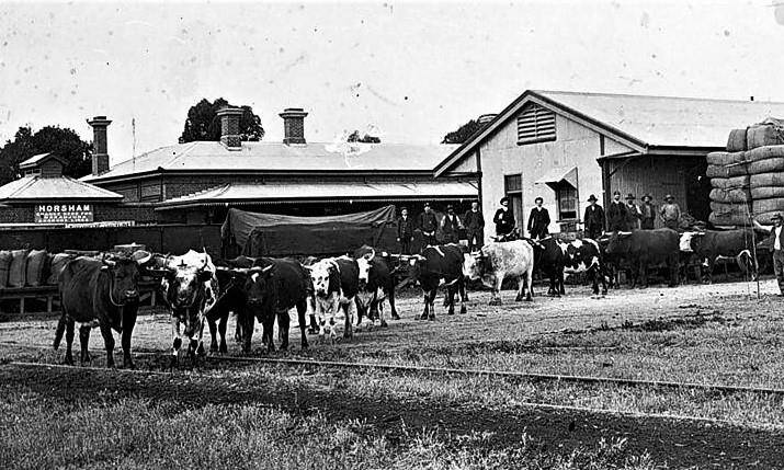 Horsham station in 1909. Image credit: Old Railway Stations Across Australia/facebook. Photographer unknown