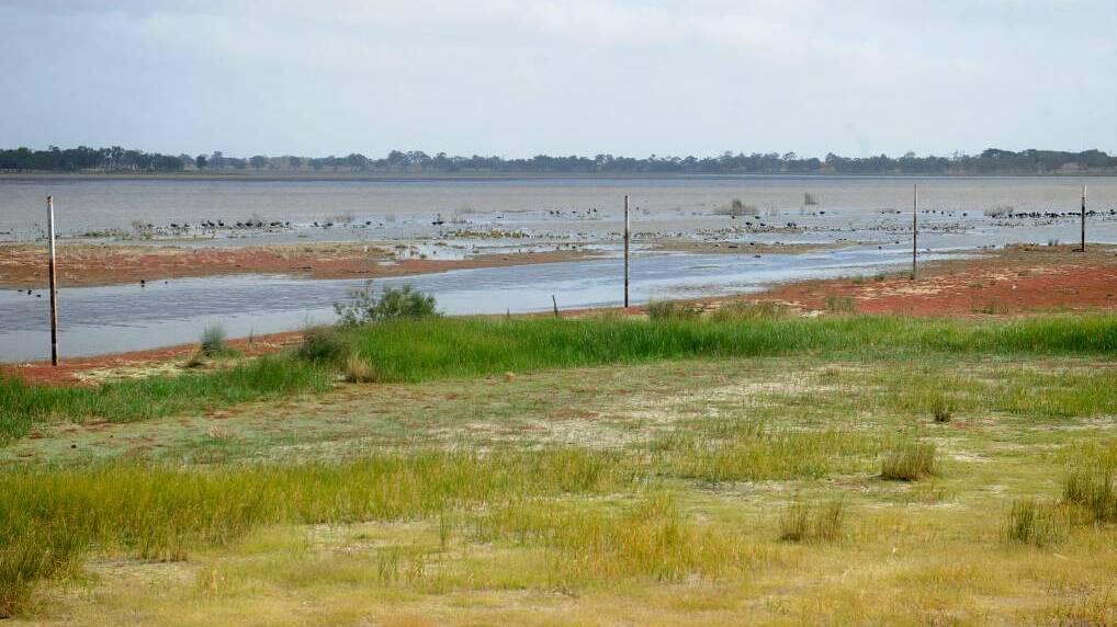 NATIMUK LAKE: One of the hotspots for viewing waterbirds in the Wimmera.
