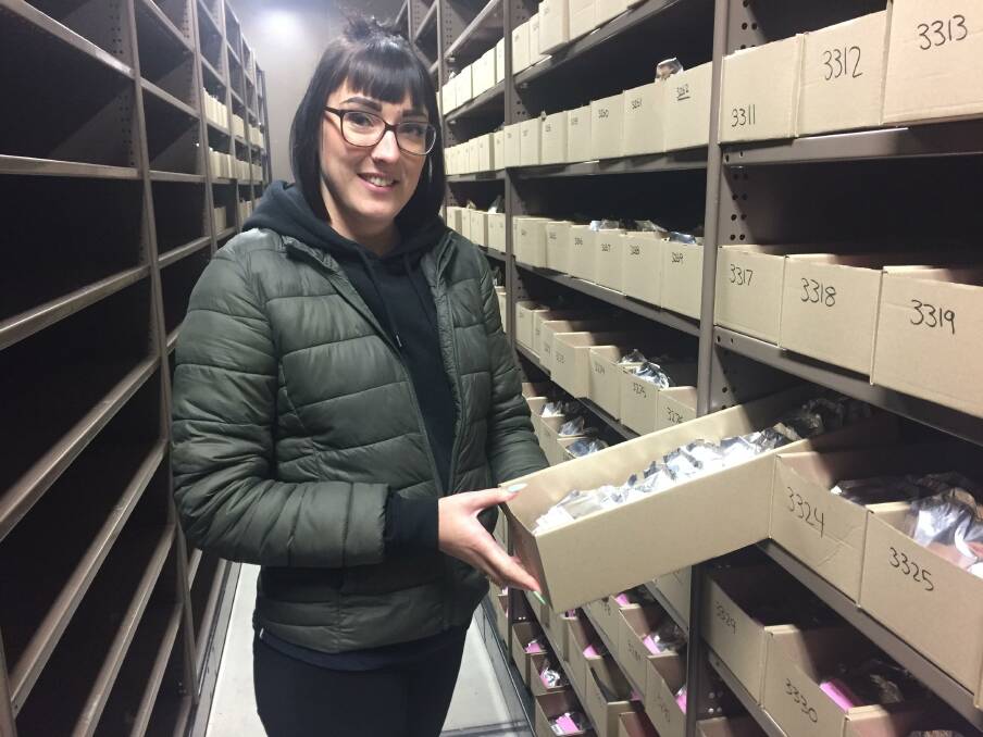 PRESERVATION: Dr Katherine Whitehouse with some of the samples in the Australian Grains Genebank's wheat and barley freezer. Picture: ALEXANDER DARLING