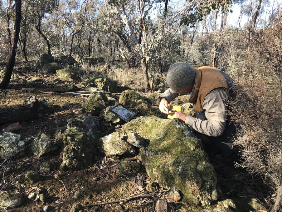 Navarre Minerals employee John Stewart structural mapping St Arnaud east field. Picture: CONTRIBUTED 
