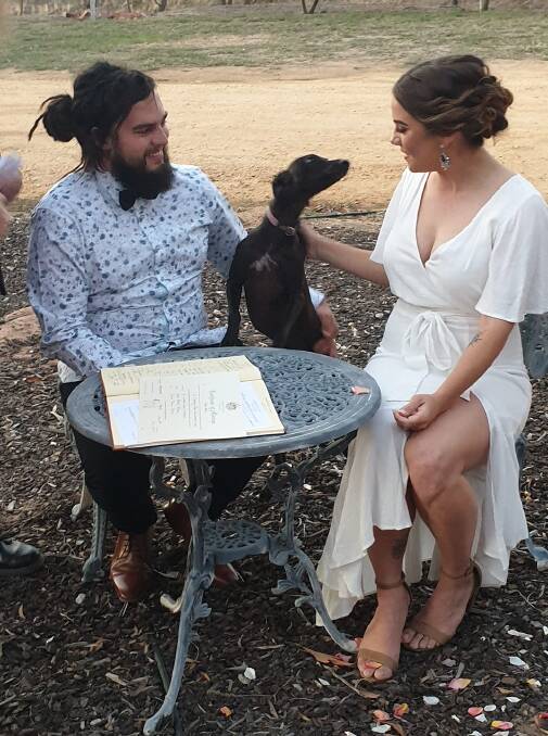 CASUAL WEDDING: Demi the dog was among the 40 guests at Daniel and Grace's wedding, held in a quiet backyard in Warracknabeal.