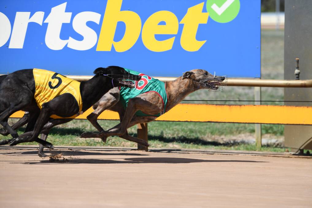 Xylus Bale winning the Cardross Memorial on Tuesday, February 6, at Horsham. Picture by Peter Carter