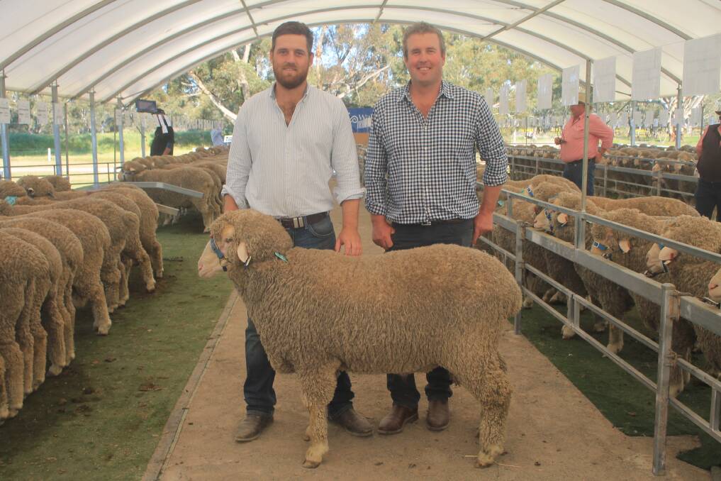 Buyer Jack Sykes, VHS Agriculture, Humula, NSW, and Wallaloo Park Merino & Poll Merino stud co-principal Trent Carter, Marnoo, with the top-priced $18,000 ram in October 2023. Picture by Philippe Perez 