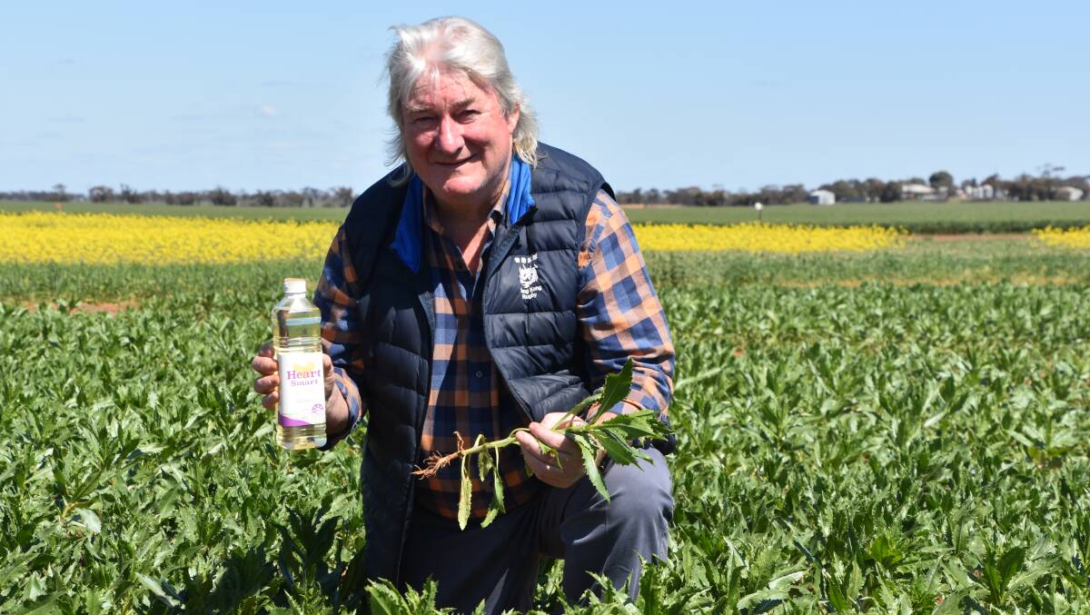 TRIAL: Go Resources development lead David Hudson at Birchip Cropping Group's trial site at Watchupga showcasing a safflower crop in action.