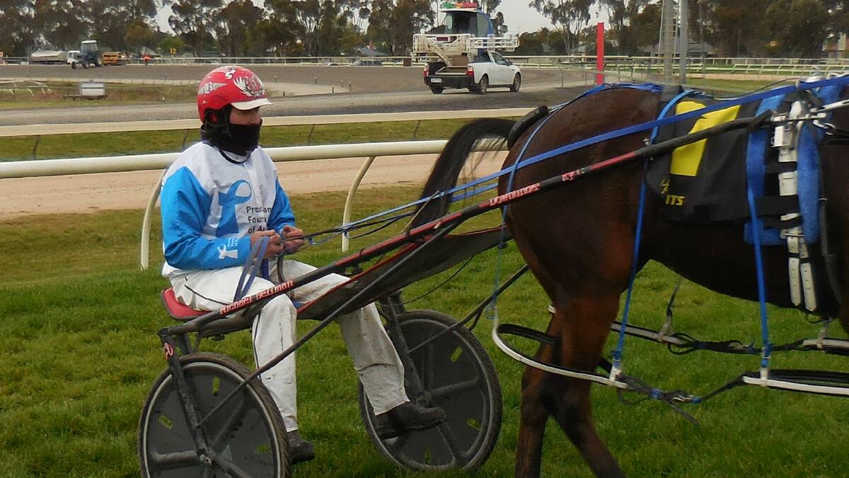 Hot streak: Ararat reinsman Michael Bellman drove three winners for Prostate Cancer Awareness at Horsham HRC's meeting last Thursday and will continue his September campaign at Stawell this afternoon. Picture: CONTRIBUTED
