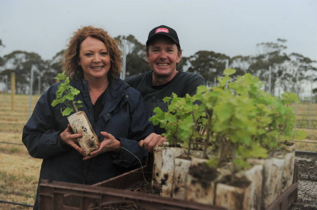 NEW VINES: Norton Estate Wines owners Sam and Chris Spence are planting over a thousand new vines over the next four days. Picture: DAINA OLIVER