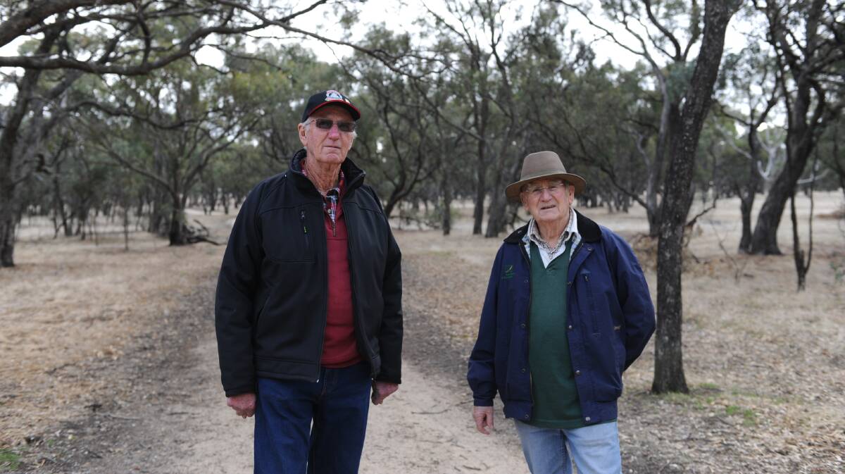Wimmera River improvement committee members Merv Adams and Gary Aitkin at the Horsham Police Paddock nature reserve. Picture: 