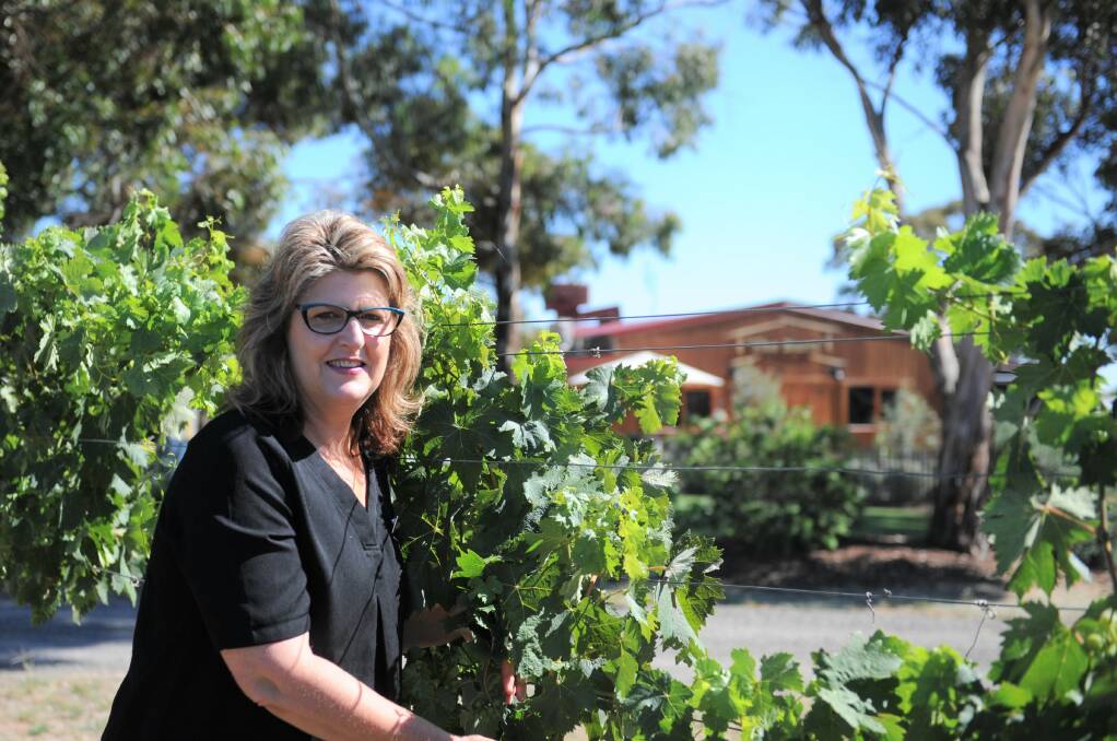 GREAT GRAPES: Barangaroo Boutique Wines manager Shelia McClure in the vineyard ahead of this year's harvest. Picture: DAINA OLIVER