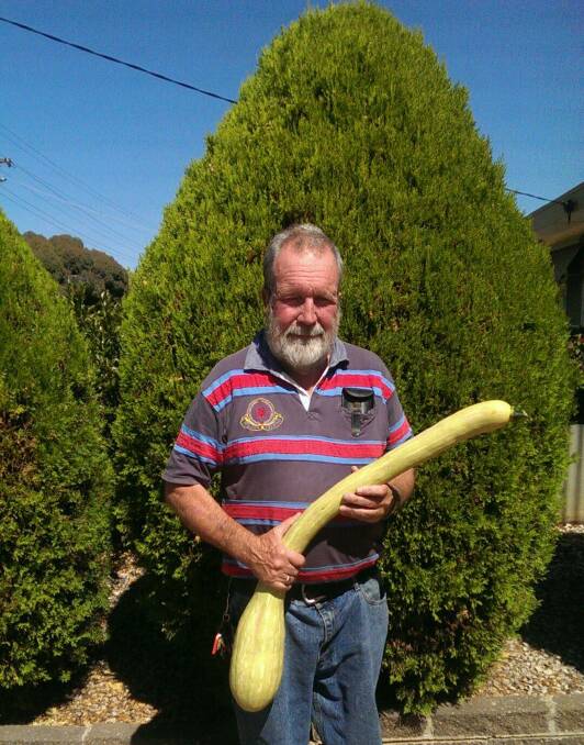 AVID GARDENER: Dimboola's Barry Ryan found a large zucchini growing in his vegetable garden, which he will make into pickles. Picture: CONTRIBUTED