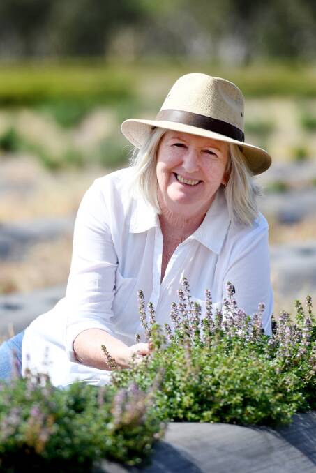 HONOUR: Glenelg River Herbs managing director Anita Watt at her farm at Balmoral. Picture: SAMANTHA CAMARRI