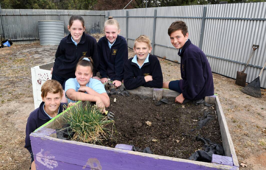 LEADERS: St Mary's Primary School students Seth, Evelyn, Kyah, Makaidee, Cody and Aiden are working towards a five-star sustainability school. Picture: SAMANTHA CAMARRI