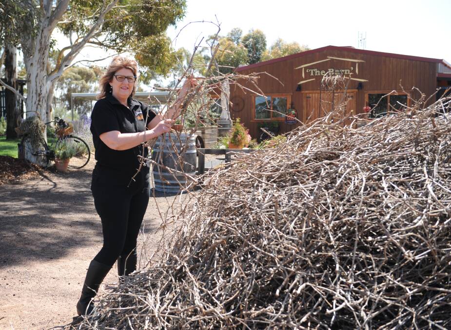 NEW BEGINNINGS: Barangaroo Boutique Wines owners Shelia McClure with a pile of canes that will be burnt at the Burning of the Canes event on Saturday night. Picture: DAINA OLIVER  