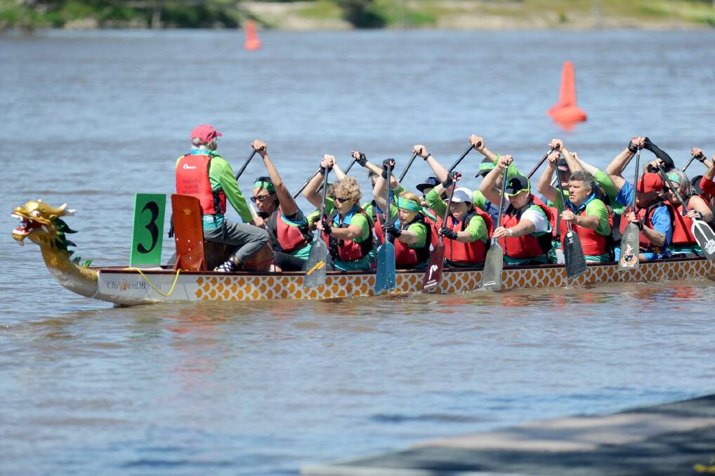 READY TO RACE: Victorian Dragon Boat Regatta at the Wimmera River in Horsham in 2016. The event returns to Horsham at the weekend. Picture: SAMANTHA CAMARRI