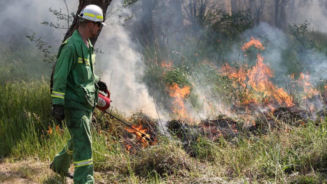 Planned burn for Jilpanger Nature Conservation Reserve