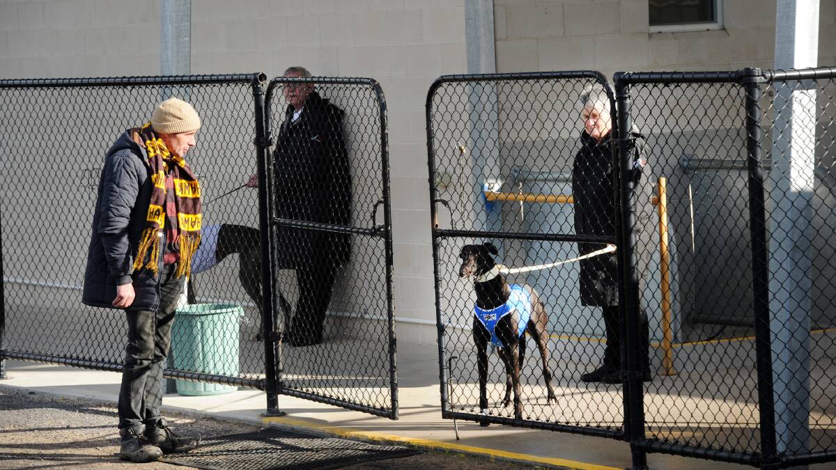 Conrad Winfield chats with Judy O'Neil with Vectis Seyarda at Horsham greyhound races in 2016.