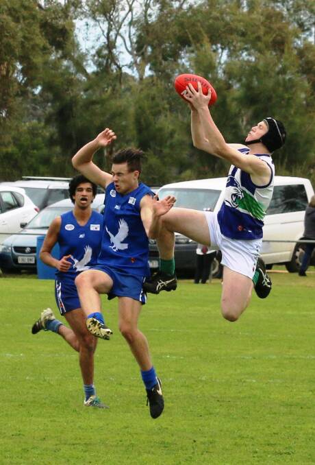 YOUNG GUN: Bottom age Cougar Liam Feder leaps to make a stunning mark against Penola in the semi-final. Picture: ANNIE AUSTIN