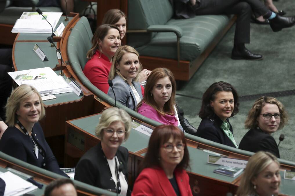 BUDGET REACTION: Member for Mallee Anne Webster, centre bottom, in parliament in 2019. Picture: FILES