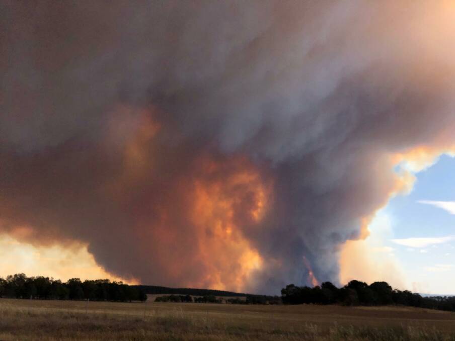 The North Black Range fire sweeps out of the bush and toward properties. Picture: Robbie Wallace