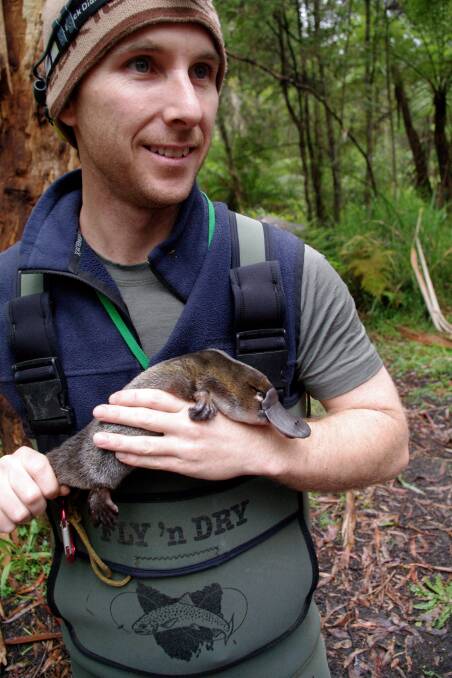Josh Griffiths and a platypus at Mackenzie Creek. Picture: CONTRIBUTED