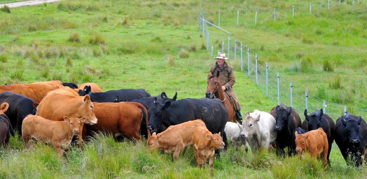 A new grazing software system will launch at University of New England next week.