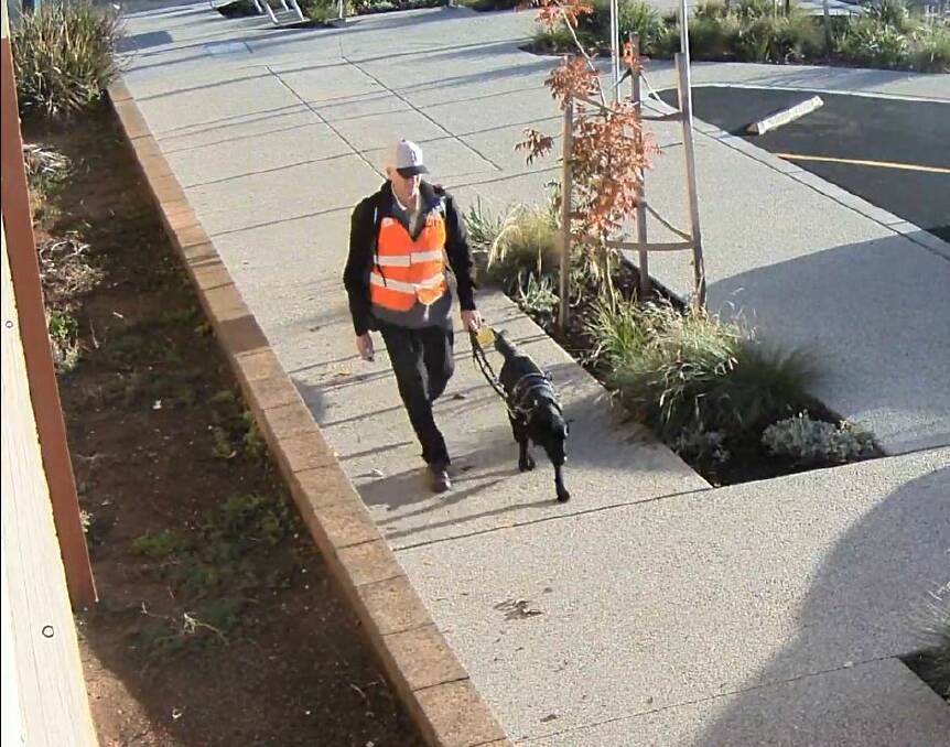FATALITY: A still image taken from CCTV footage of Ray Meadows and his guide dog Gerry in Wedderburn, before their deaths on June 2 last year.