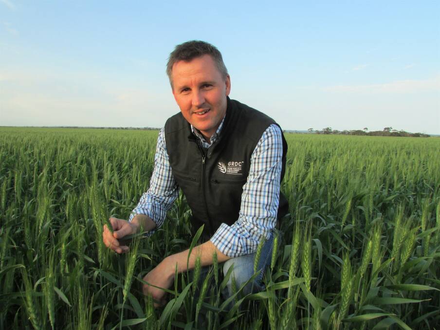 Expert opinion: GRDC senior regional manager (south) Craig Ruchs said WeedSmart Week provides a highly effective platform to share research outcomes and on-farm innovation in a very practical way. Picture: GRDC.