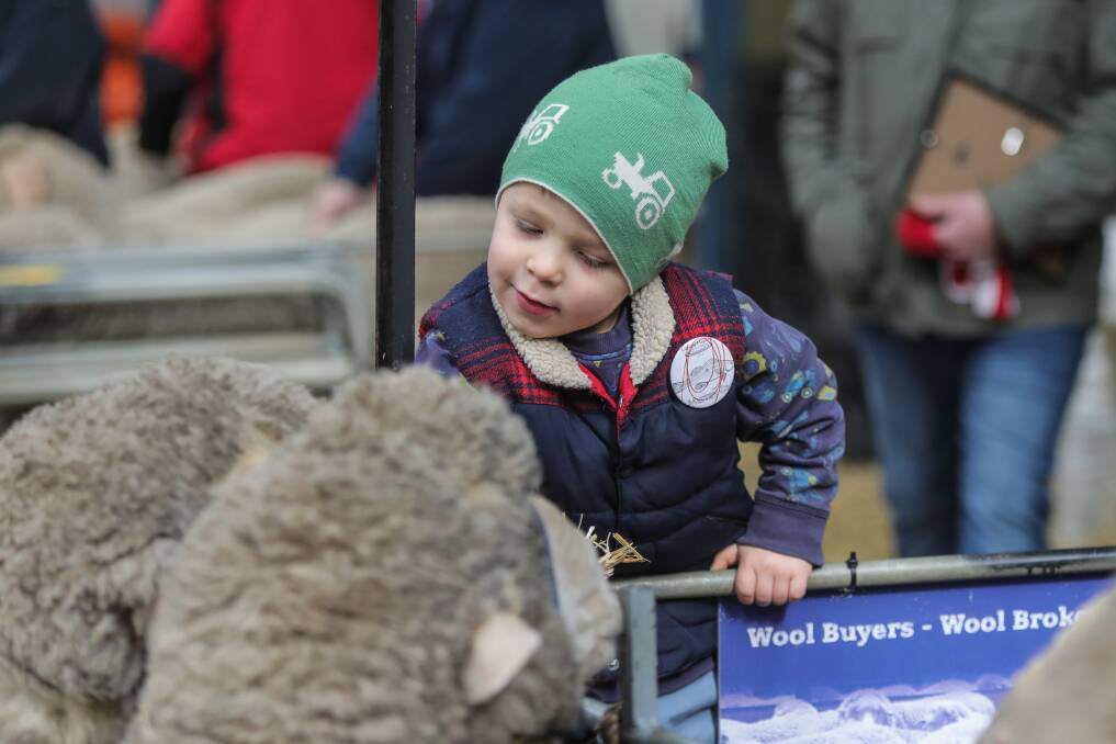 SOMETHING FOR EVERYONE: Sheepvention will be held from August 4 to 6 at the Hamilton Showgrounds. Picture: Morgan Hancock.