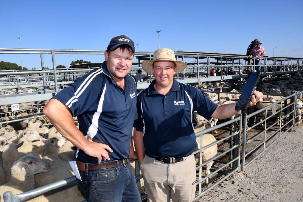 TECHNOLOGY: Rodwells Horsham's Wayne Driscoll and Benn Molineaux test software in preparation for March 31. Picture: SAMANTHA CAMARRI