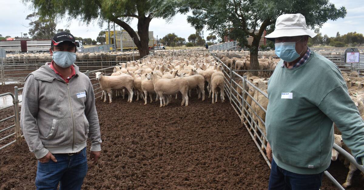 FAMILY: Craig Rich, Goroke, with father Bill, bought around 460 first-cross ewes to a top of 408 at Wycheproof.