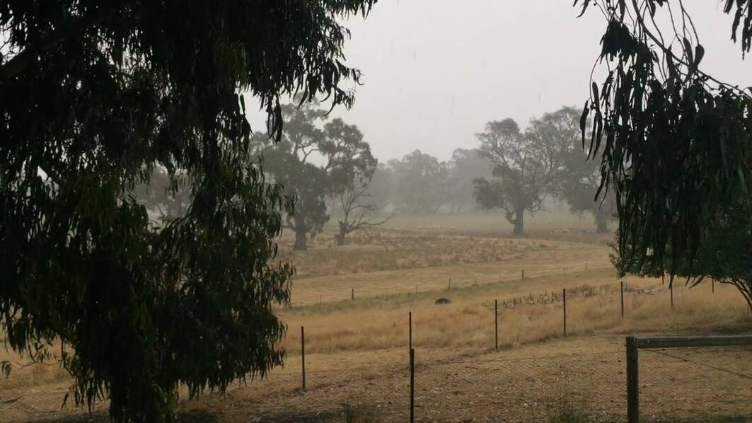 Rains to stay steady across the Wimmera for the next week