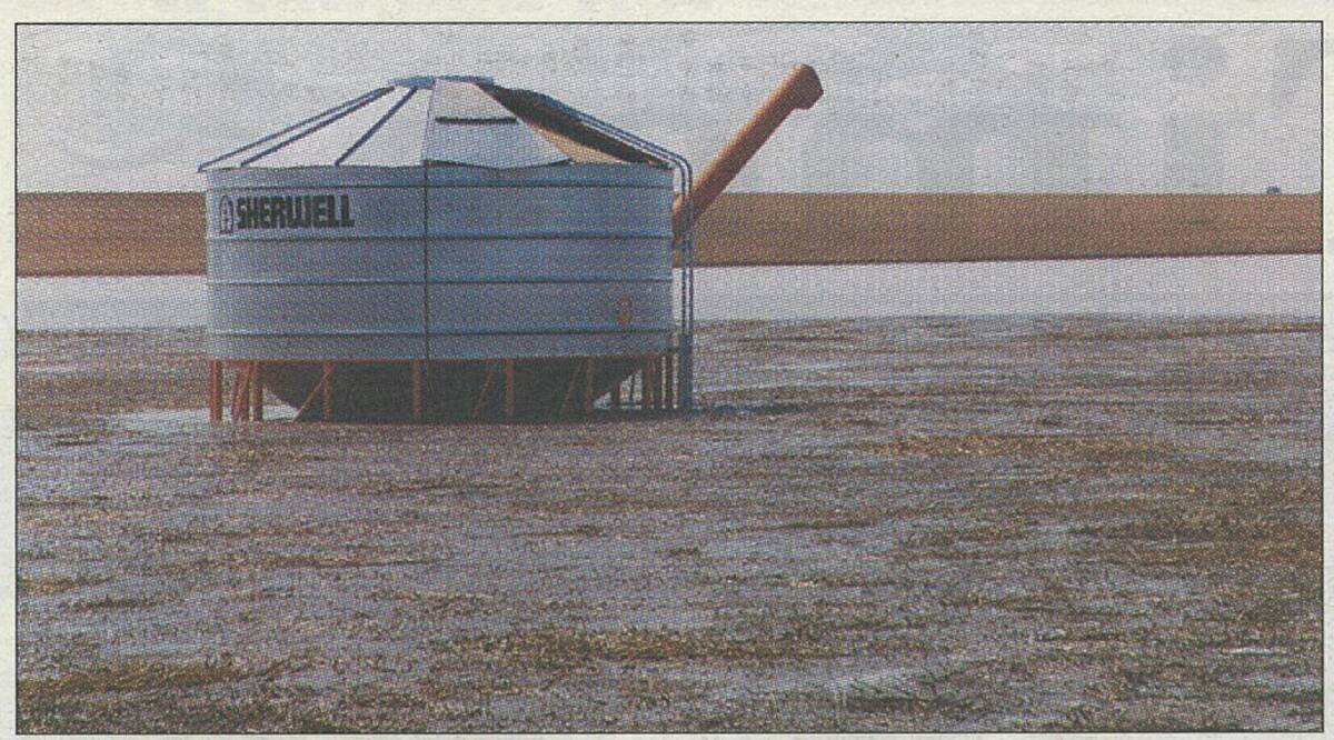 WHEAT IN WATER: This picture, taken on Sunday, shows the water level almost three days after the damaging storm on Greg and Helen Watt's Werrap property. The bin holds hard-one wheat. Wheat stubble floats on the water surface. 