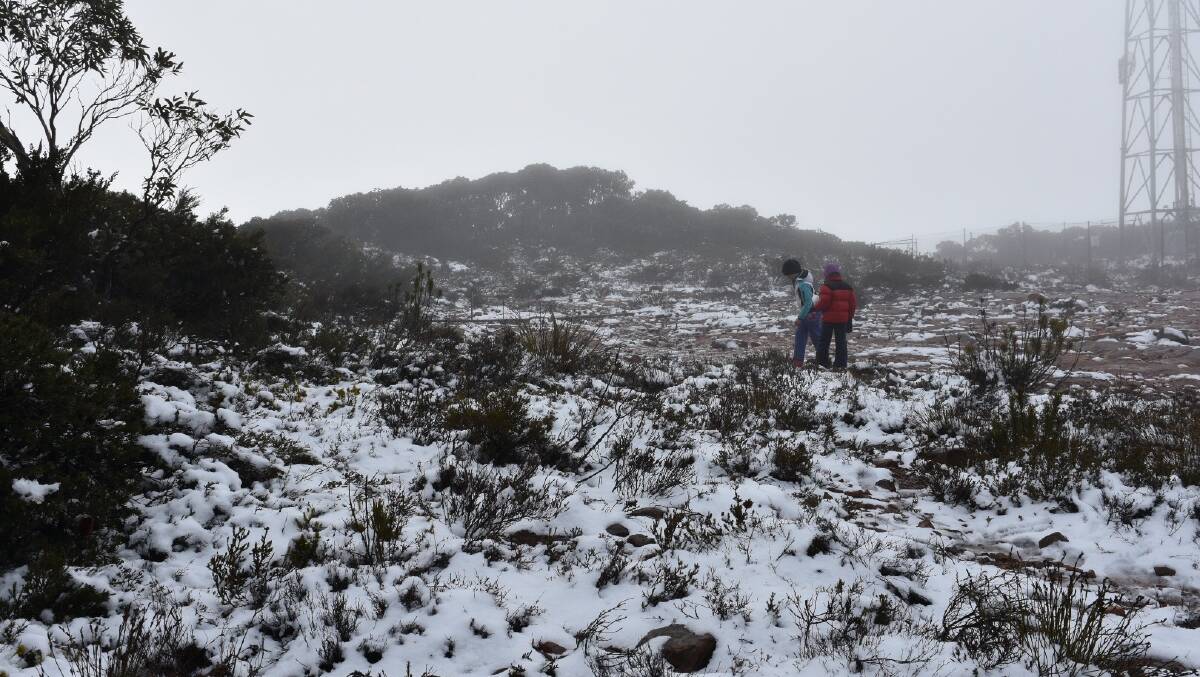 COLD FRONT: Snow at Mt William. Picture: SHARON BASSET