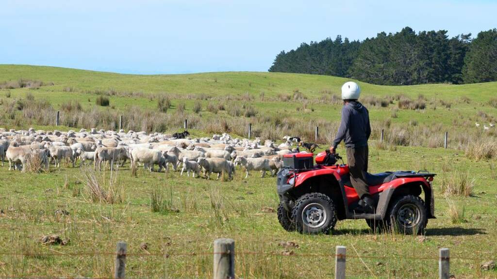 Quad bikes leading cause of death, injury on Australian farms