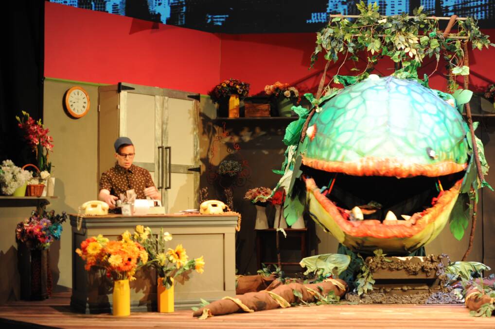Horsham Arts Council's 2018 production of Little Shop of Horrors was staged at the Horsham Town Hall.
