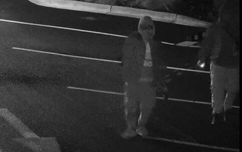 Horsham police search for alleged graffiti offenders