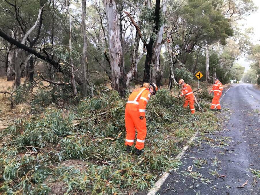 DAMAGE CONTROL: State Emergency Service volunteers attended to several fallen trees in the Wimmera last week after strong gusts of wind lashed the region. Picture: CONTRIBUTED