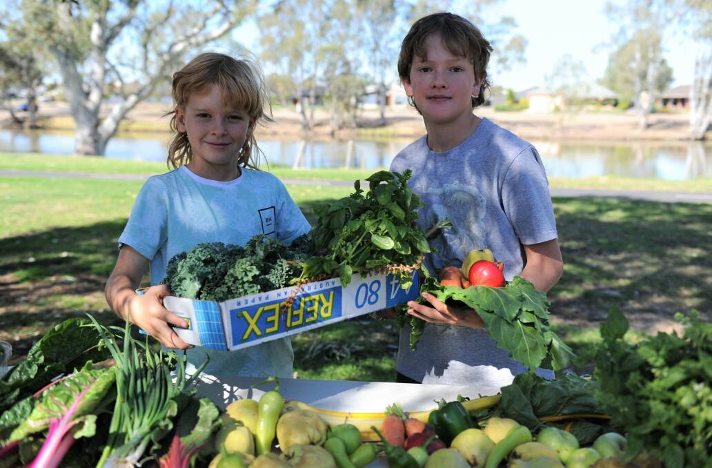 Brothers Gus and Max Rohrsheim show off some of the delicious fresh food available at Horsham Urban Landcare's monthly produce swap at Sawyer Park on Sunday morning. Picture: JADE BATE
