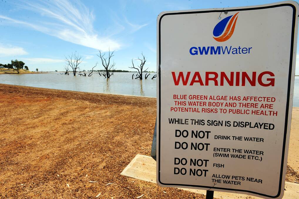 Blue-green algae remains at Taylors Lake