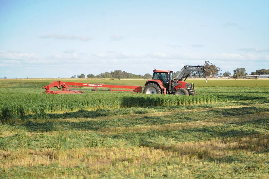 Keith Parry from Green and Gold Hay Contractors, Hamilton, cutting hay at Brian Klowss' Natimuk property.