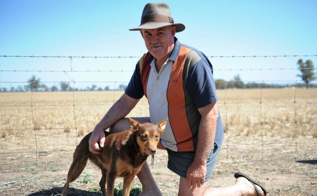 Victorian Farmers Federation Wimmera branch president Graeme Maher, of Lubeck, with dog Jess.