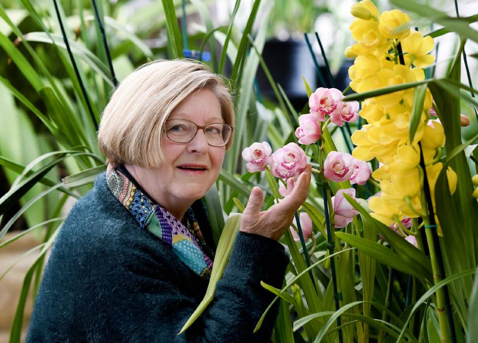 FLOWER SHOWCASE: Horsham and District Orchid Society president Joy Scott is preparing for the group's spring show this weekend. Picture: SAMANTHA CAMARRI