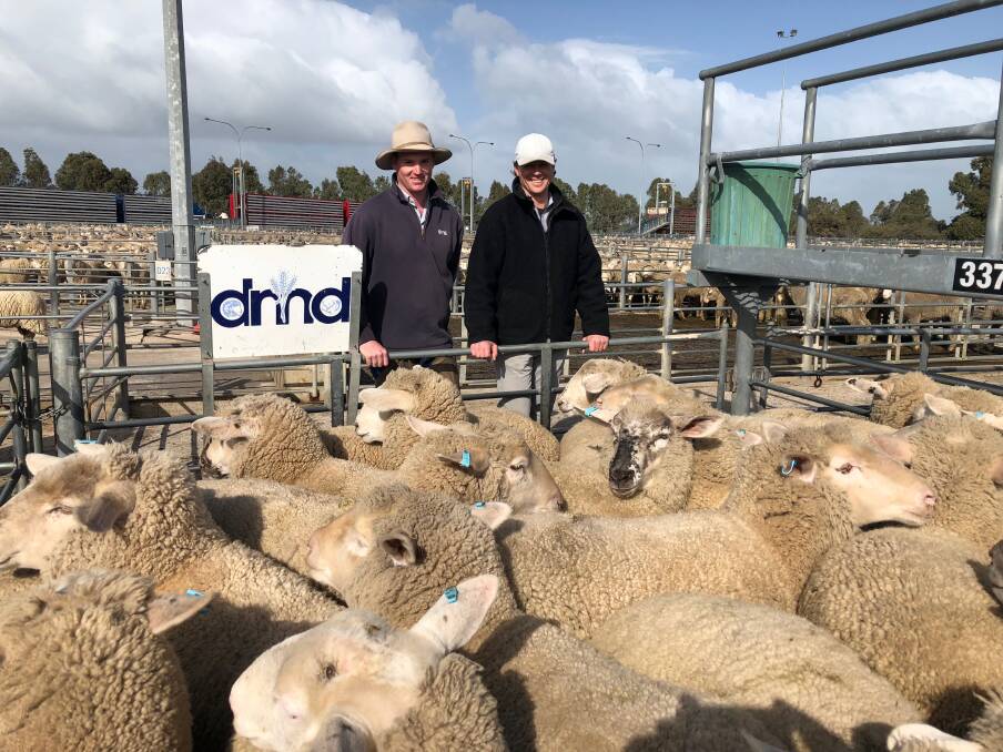RECORD: Driscoll McIllree & Dickinson auctioneer Brock Quick and Wagstaff Abbatoirs employee James McDonald at the Horsham Regional Livestock Exchange on Wednesday. Picture: CONTRIBUTED 
