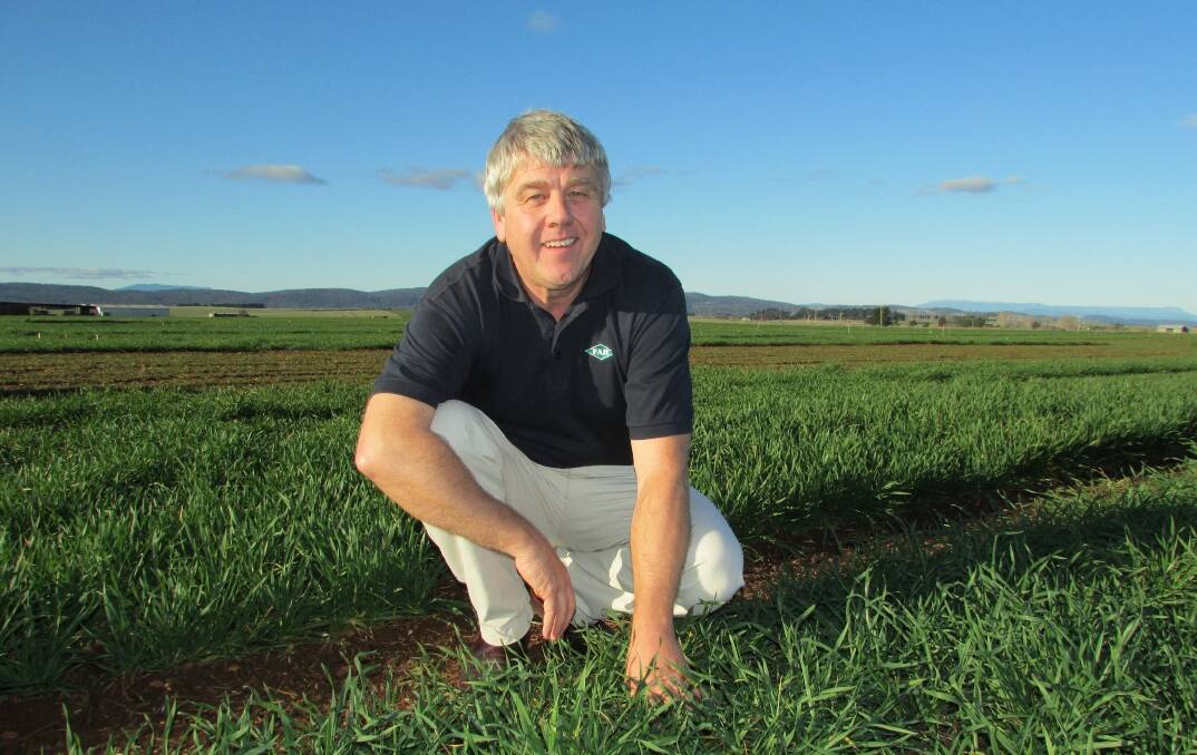 GRAINS FORECAST: Nick Poole from Foundation for Arable Research Australia will be a guest speaker at the Dunkeld Grains Research Update on February 28. Picture: CONTRIBUTED