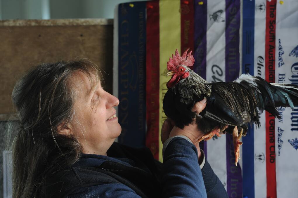SHOW WILL GO ON: Donnella Zanker with her japanese fowl at the 2016 Murtoa Show. File photo.