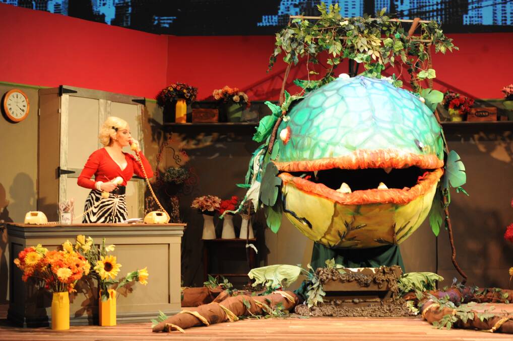 RECOGNITION RECEIVED: Horsham Arts Council has received three nominations at the Music Theatre Guild of Victoria awards, including one for the design of the Audrey II puppets in 'Little Shop of Horrors'. Picture: JADE BATE 