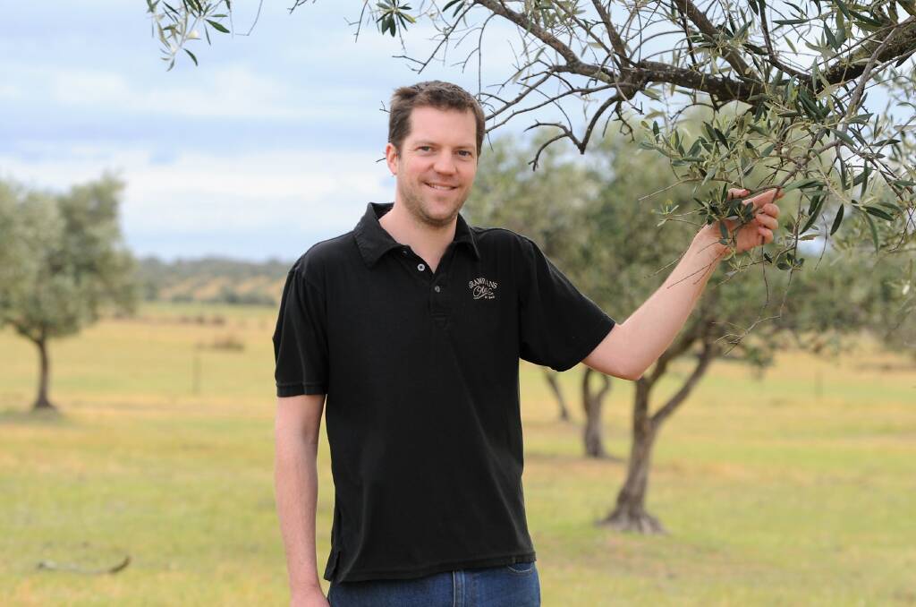 MILESTONE CELEBRATED: Grampians Olive Co owner Greg Mathews is looking forward to celebrating the grove's 75 years this weekend. Picture: JADE BATE