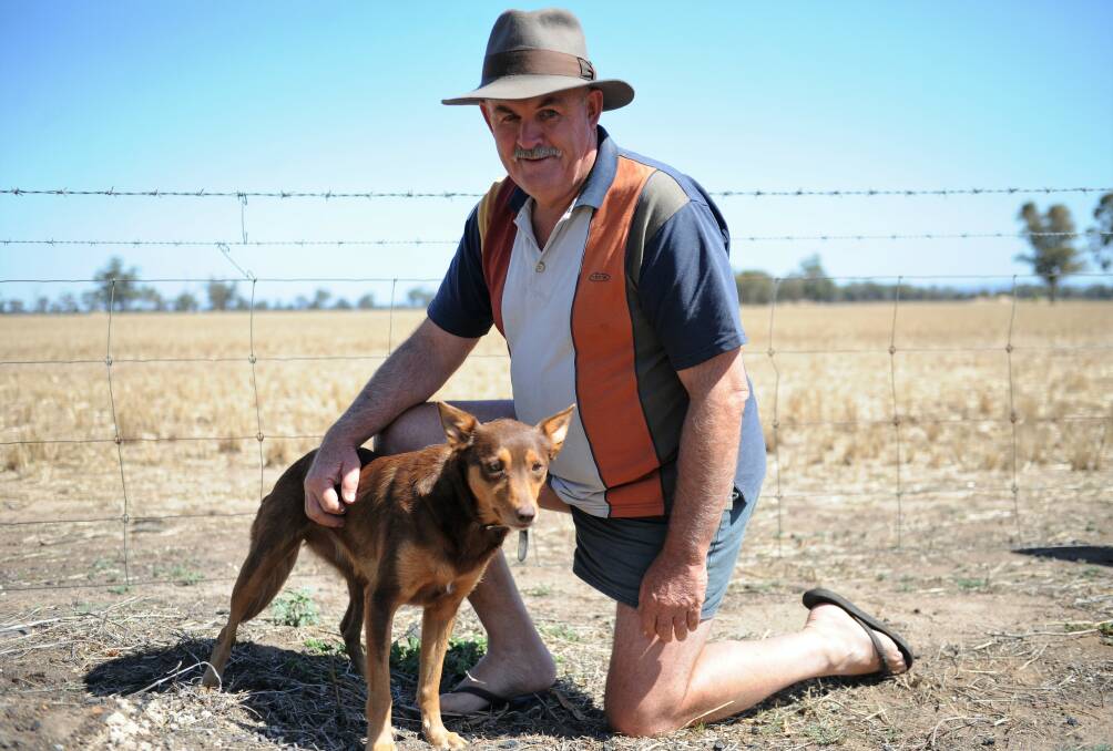 NEW REPRESENTATIVE: Lubeck farmer Graeme Maher (pictured with dog Jess) is the new VFF Wimmera branch president. Picture: JADE BATE