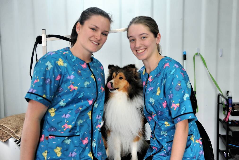 PAMPERED POOCHES: Cuddly Dog Grooming groomers Makaela Edmondson and Jessica Renwood with Jessica's sheltie, Cracker. Picture: JADE BATE