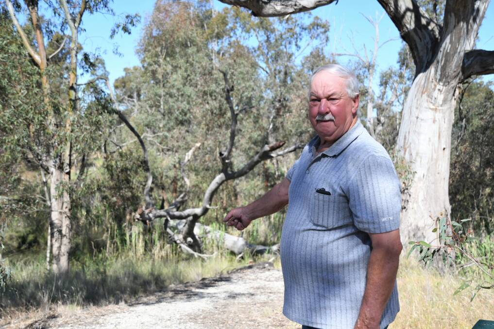 DANGER: Vectis farmer Keith Lindner is concerned about the fire safety danger around the Wimmera River, west of Horsham. Picture: JADE BATE
